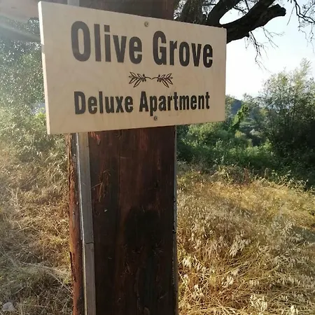 Olive Grove Deluxe Apartment Agnitsini Exterior photo