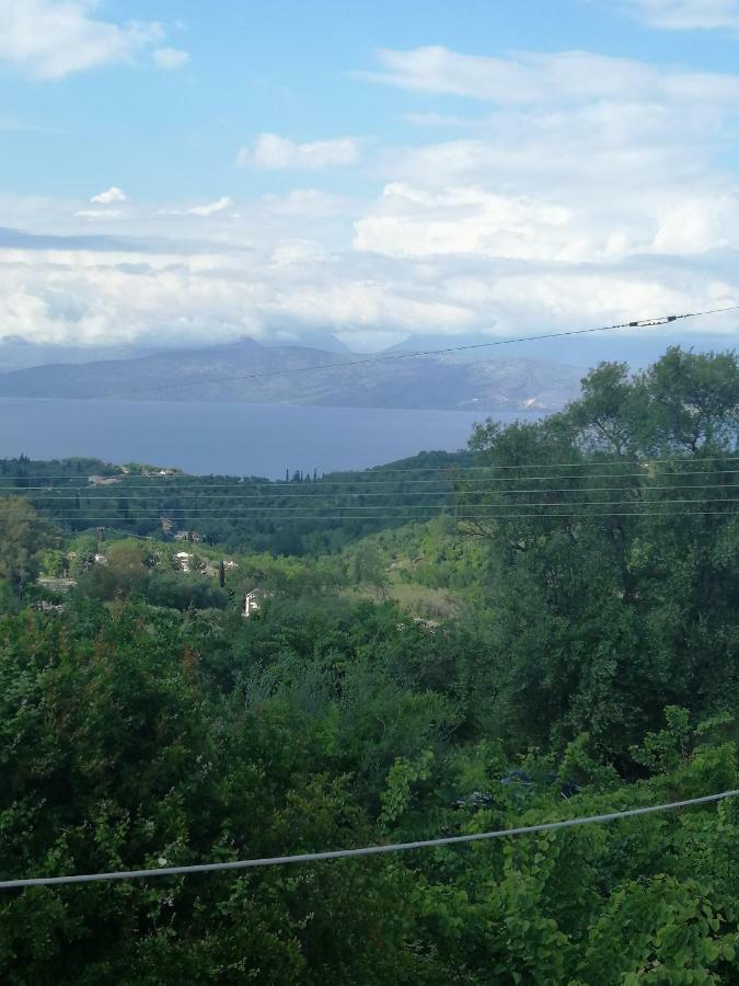 Olive Grove Deluxe Hébergement de vacances Agnítsini